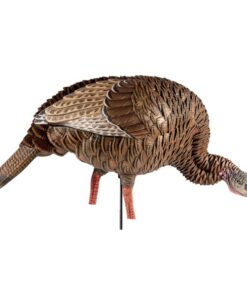 Buy Avian-X HDR Heavy-Duty Realism Full-Body Feeder Hen Turkey Decoy