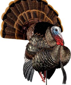 Buy Avian-X HDR Heavy-Duty Realism Full-Body Strutter Turkey Decoy