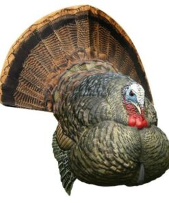 Buy Avian-X LCD Strutter Turkey Decoy