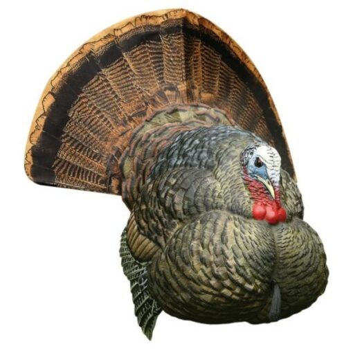 Buy Avian-X LCD Strutter Turkey Decoy