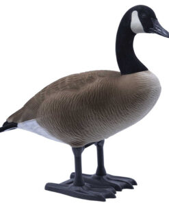 Buy Big Foot B2 Full-Body Canada Goose Decoy Packs – Feeder