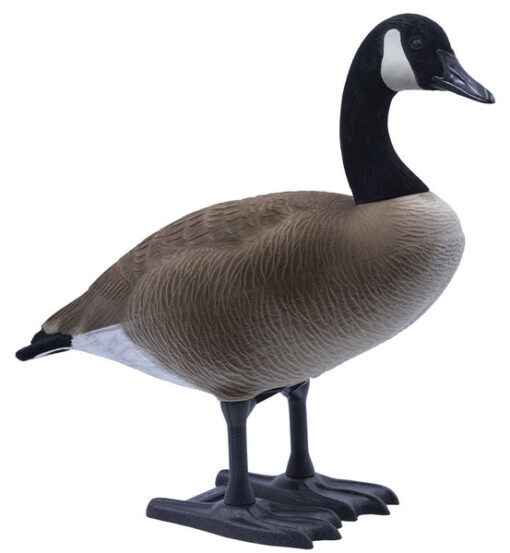 Buy Big Foot B2 Full-Body Canada Goose Decoy Packs – Feeder