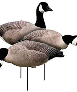 Buy White Rock Decoys EVAC Series Full-Body Canada Goose Decoys