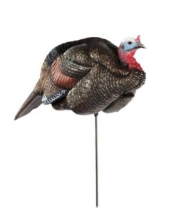 Buy Dave Smith Decoys 3/4-Strut Jake Turkey Decoy