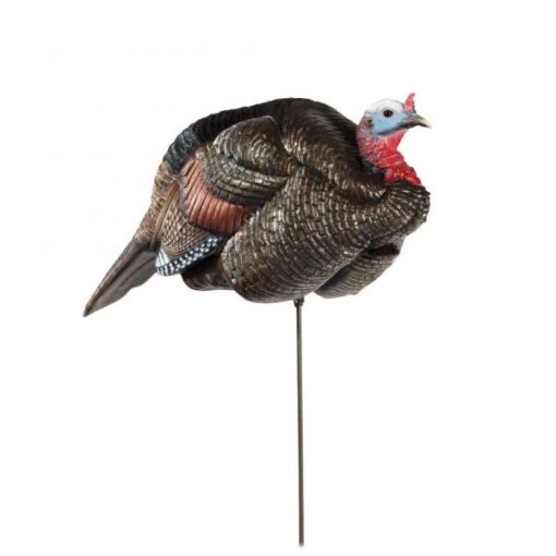 Buy Dave Smith Decoys 3/4-Strut Jake Turkey Decoy