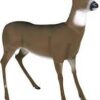 Buy Flambeau Boss Babe Deer Decoy